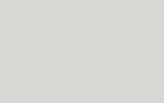 Camel Gray Perenn — Camel Gray