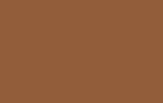 Vintage Orange Perenn — Vintage Orange