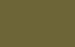 Semi-Matte Olive Tonn — Semi-Matte Olive